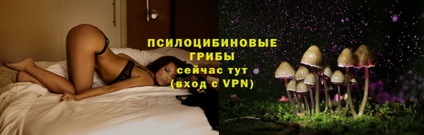 2c-b Елабуга