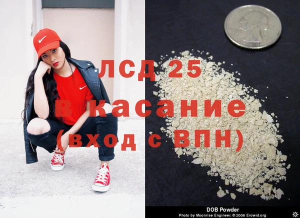 spice Елизово
