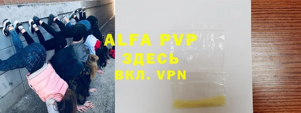 apvp Ельня
