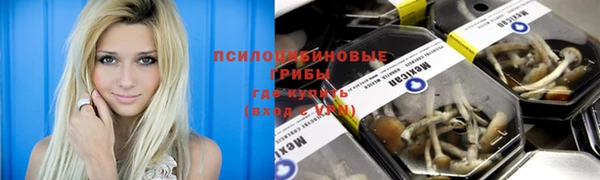 молекула духа Заволжск