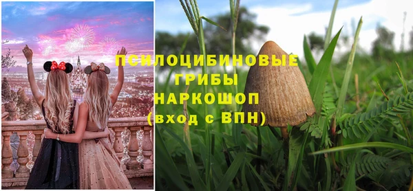 spice Елизово
