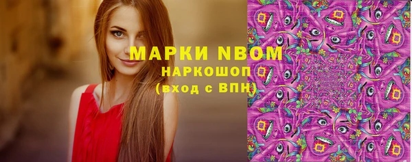 apvp Ельня