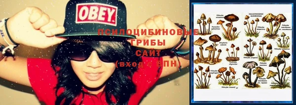 spice Елизово