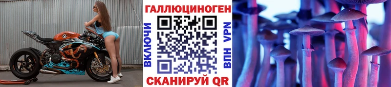Псилоцибиновые грибы Psilocybine cubensis  Сысерть 